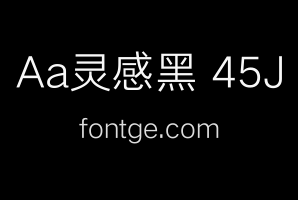Aa灵感黑 45J