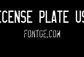 LICENSE PLATE USA