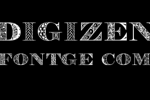 Digizen