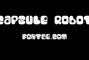 Capsule Robot