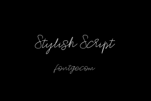 Stylish Script
